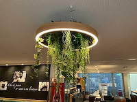 Led-ring met kunstplant - afbeelding 3 van  5