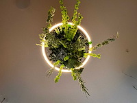 Led-ring met kunstplant - afbeelding 4 van  5