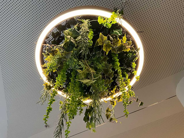 Led-ring met kunstplant - afbeelding 3 van  4