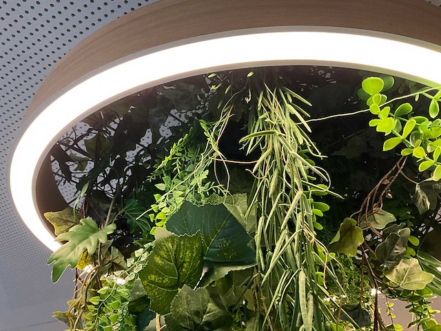 Led-ring met kunstplant - afbeelding 4 van  4