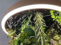 Led-ring met kunstplant - afbeelding 4 van  4