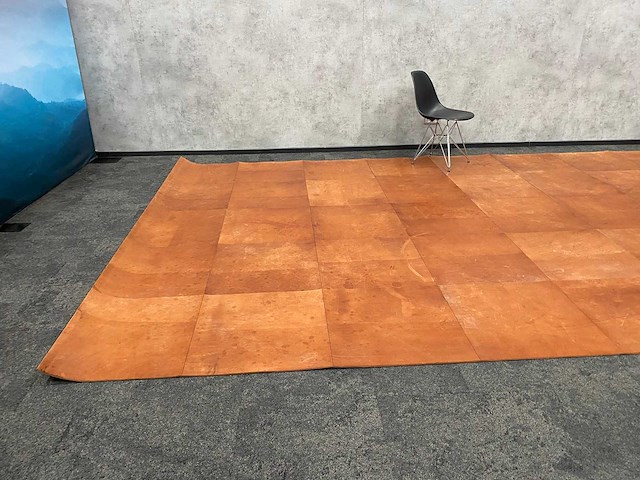Lederen vloerkleed - met geluidisolatie - 470x300 - afbeelding 21 van  24