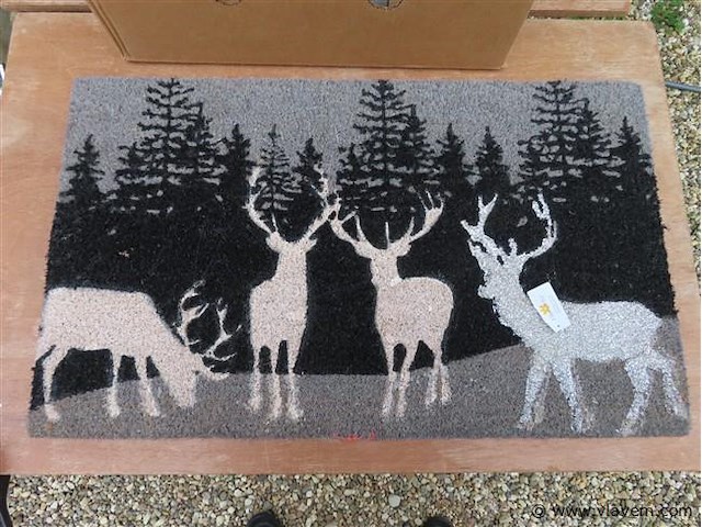 Ledlampen en vloermat - afbeelding 2 van  3