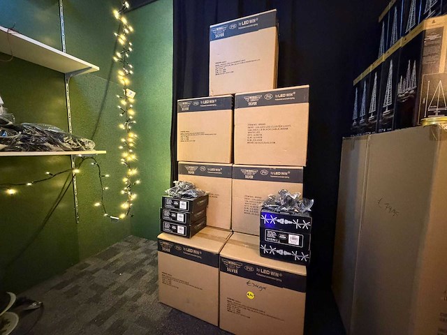 Ledwin cluster kerstverlichting / buitenverlichting (101) - afbeelding 2 van  8