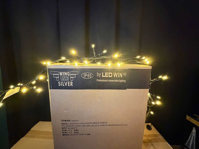 Ledwin cluster kerstverlichting / buitenverlichting (101) - afbeelding 3 van  8