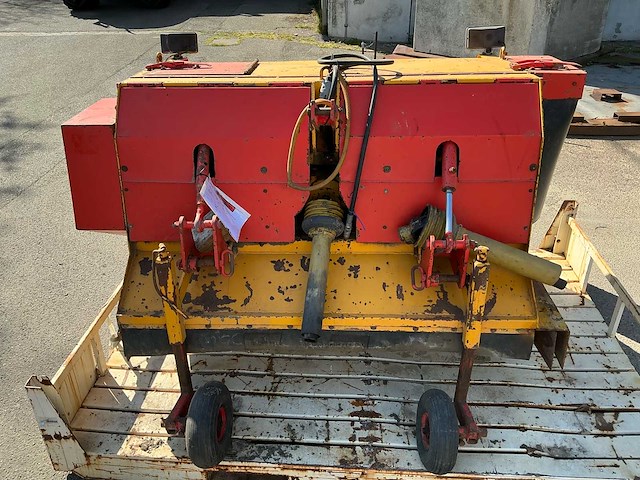 Leenpoel uienklapper - afbeelding 4 van  11