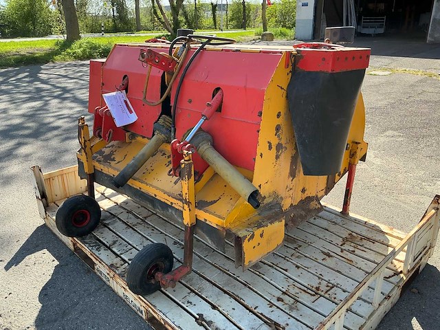 Leenpoel uienklapper - afbeelding 5 van  11