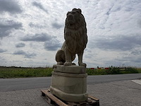 Leeuw op sokkel 1.82 meter hoog - afbeelding 4 van  6