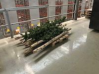 Legbordstellingen, kantoorinventaris en diversen - afbeelding 2 van  53