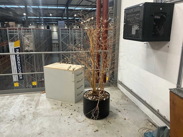 Legbordstellingen, kantoorinventaris en diversen - afbeelding 47 van  48