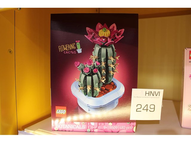 Lego botanicals flowering cactus. - afbeelding 1 van  2