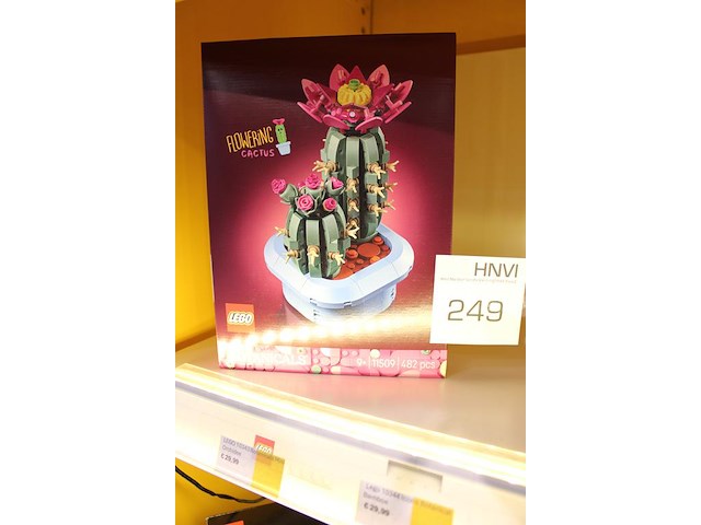 Lego botanicals flowering cactus. - afbeelding 2 van  2