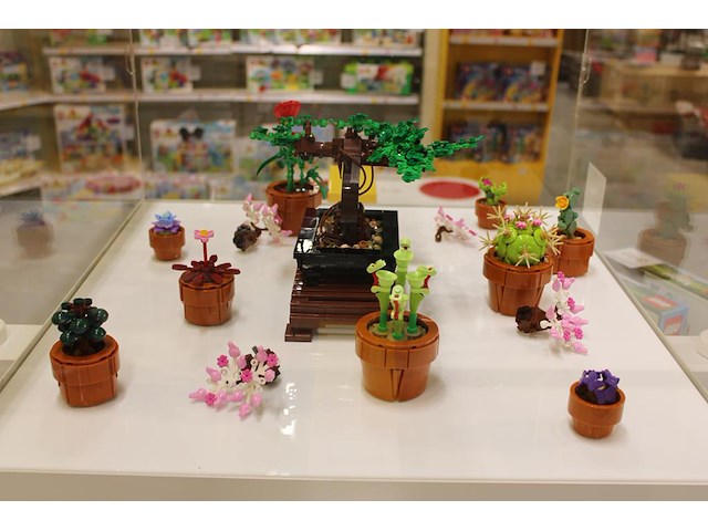Lego botanicals showmodel in vitrine. let op; exclusief vitrine. - afbeelding 2 van  4