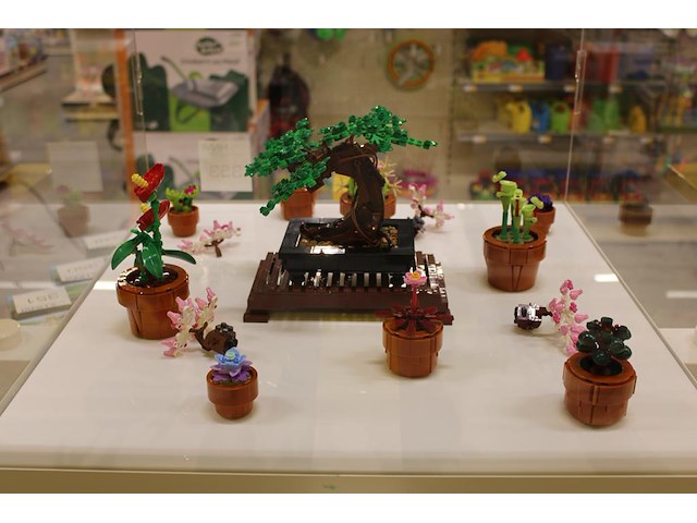 Lego botanicals showmodel in vitrine. let op; exclusief vitrine. - afbeelding 3 van  4