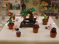 Lego botanicals showmodel in vitrine. let op; exclusief vitrine. - afbeelding 3 van  4