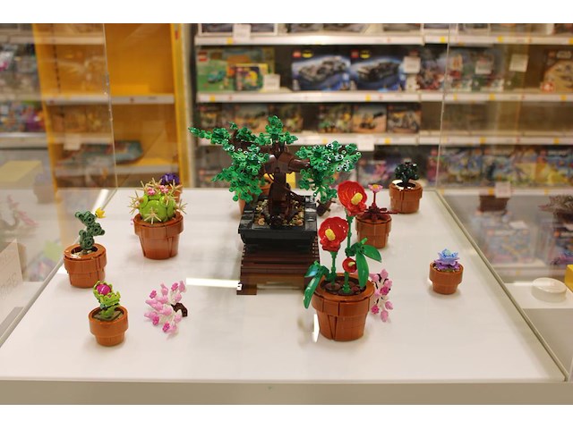 Lego botanicals showmodel in vitrine. let op; exclusief vitrine. - afbeelding 4 van  4