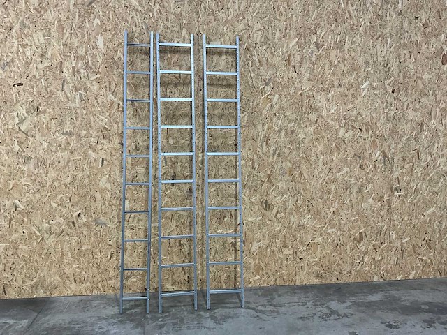 Legrand steigladder 3000mm (3x) - afbeelding 1 van  1