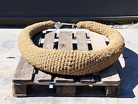 Leguaan - afbeelding 2 van  7
