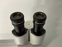 Leica - dm2000 - microscoop met dual-view - afbeelding 8 van  11