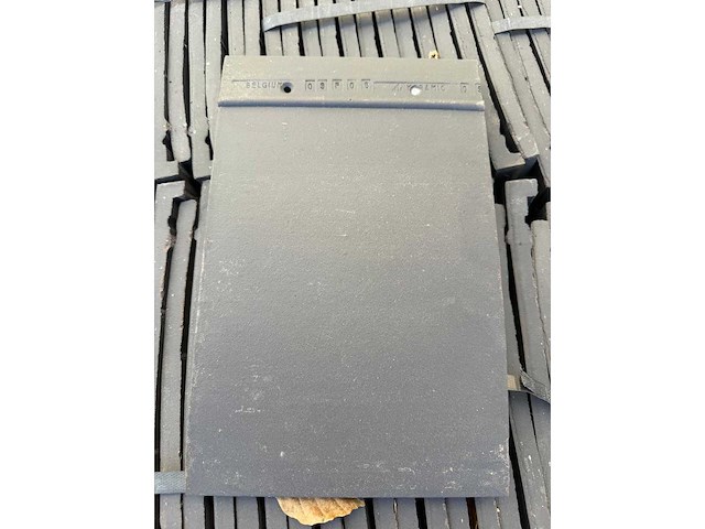 Leisteen pan (3300x) - afbeelding 4 van  4