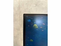 Lenovo - thinkvision t24-40 - 24" monitor set op markant duo arm - afbeelding 13 van  17