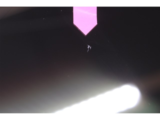 Lenovo ideapad duet 3 chrome11q727 qualcomm snapdragon 7c gen 2 chromebook qwertz grijs - afbeelding 5 van  6