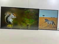 Lenovo mix model desktops - check description (2x)