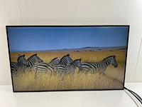 Lenovo (p27h-20) 27”, 2560x1440 (qhd) ips monitors (2x) - afbeelding 10 van  10