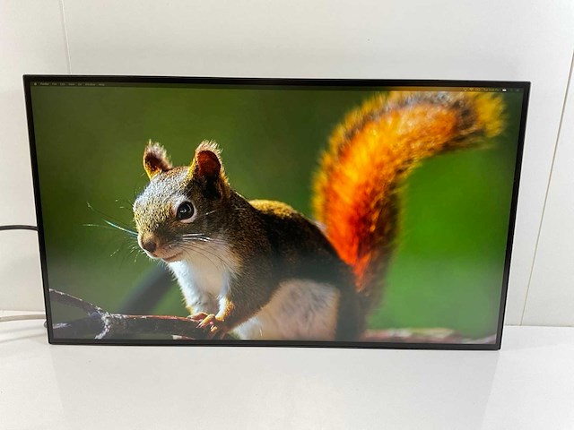 Lenovo (p27h-20) 27”, 2560x1440 (qhd) ips monitors (2x) - afbeelding 6 van  13