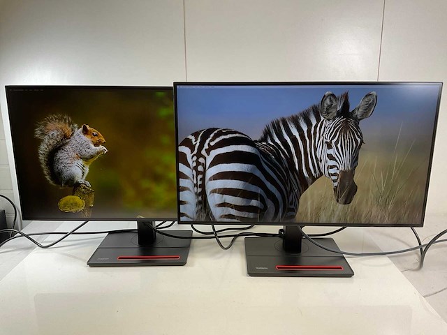 Lenovo (p27h-20) 27”, 2560x1440 (qhd) ips monitors (2x) - afbeelding 1 van  5