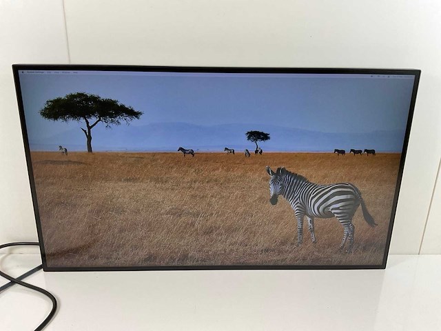 Lenovo (p27h-20) 27”, 2560x1440 (qhd) ips monitors (2x) - afbeelding 4 van  11