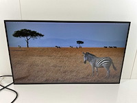 Lenovo (p27h-20) 27”, 2560x1440 (qhd) ips monitors (2x) - afbeelding 4 van  11