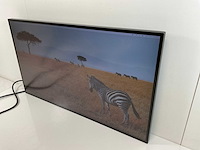 Lenovo (p27h-20) 27”, 2560x1440 (qhd) ips monitors (2x) - afbeelding 5 van  11