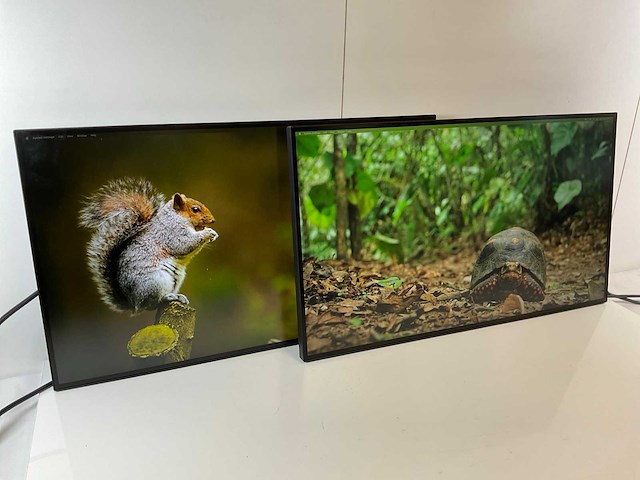 Lenovo (p27h-20) 27”, 2560x1440 (qhd) ips monitors (2x) - afbeelding 2 van  7