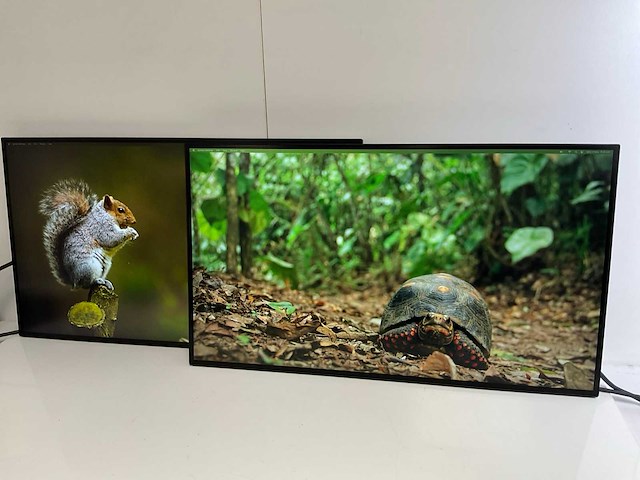 Lenovo (p27h-20) 27”, 2560x1440 (qhd) ips monitors (2x) - afbeelding 3 van  7