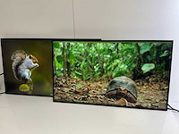 Lenovo (p27h-20) 27”, 2560x1440 (qhd) ips monitors (2x) - afbeelding 3 van  7