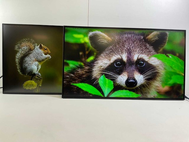 Lenovo (p27h-20) 27”, 2560x1440 (qhd) ips monitors (2x) - afbeelding 1 van  7