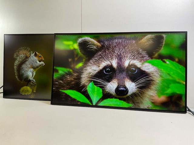Lenovo (p27h-20) 27”, 2560x1440 (qhd) ips monitors (2x) - afbeelding 3 van  7