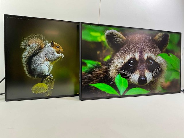Lenovo (p27h-20) 27”, 2560x1440 (qhd) ips monitors (2x) - afbeelding 2 van  7