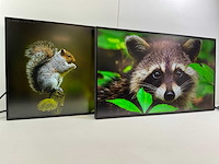 Lenovo (p27h-20) 27”, 2560x1440 (qhd) ips monitors (2x) - afbeelding 2 van  7
