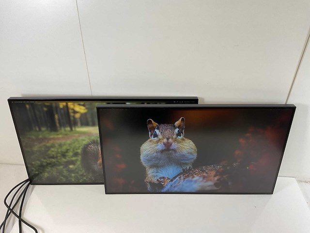 Lenovo (p27h-20/p27h-30) 27”, 2560x1440 (qhd) ips monitors (2x) - afbeelding 10 van  17