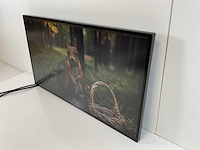 Lenovo (p27h-20/p27h-30) 27”, 2560x1440 (qhd) ips monitors (2x) - afbeelding 12 van  17