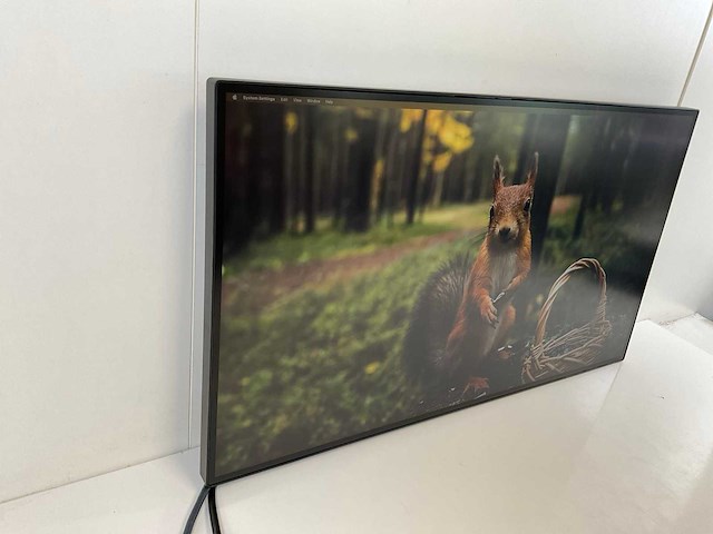Lenovo (p27h-20/p27h-30) 27”, 2560x1440 (qhd) ips monitors (2x) - afbeelding 13 van  17