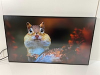 Lenovo (p27h-20/p27h-30) 27”, 2560x1440 (qhd) ips monitors (2x) - afbeelding 14 van  17