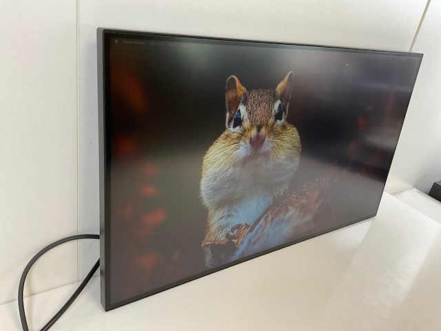 Lenovo (p27h-20/p27h-30) 27”, 2560x1440 (qhd) ips monitors (2x) - afbeelding 16 van  17