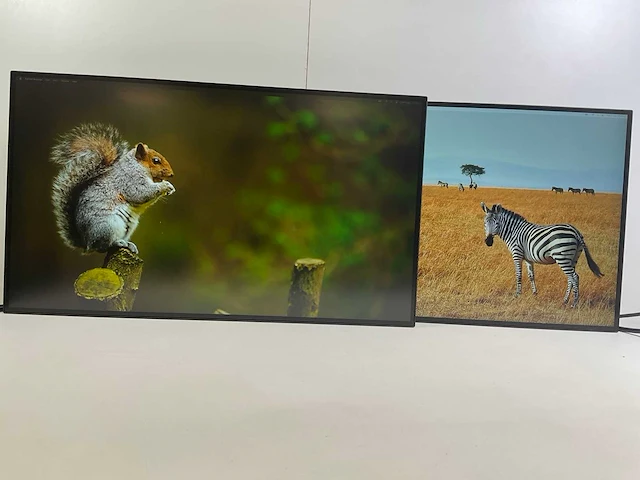 Lenovo (p27h20) 27”, 2560x1440 (qhd) ips monitors (2x) - afbeelding 1 van  9