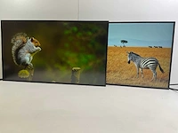 Lenovo (p27h20) 27”, 2560x1440 (qhd) ips monitors (2x) - afbeelding 3 van  9