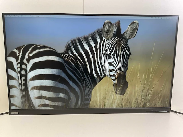 Lenovo (t32p20) 32”, 3840x2160 (uhd) ips monitor - afbeelding 1 van  7