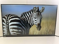 Lenovo (t32p20) 32”, 3840x2160 (uhd) ips monitor