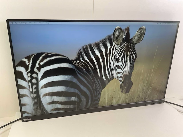 Lenovo (t32p20) 32”, 3840x2160 (uhd) ips monitor - afbeelding 2 van  7